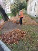 Город засыпает осенней листвой