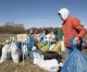 В ходе экологической игры из  парков Петергофа убрали 10 тонн мусора