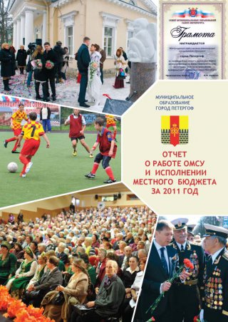 Отчет о работе ОМСУ и исполнении местного бюджета за 2011 год