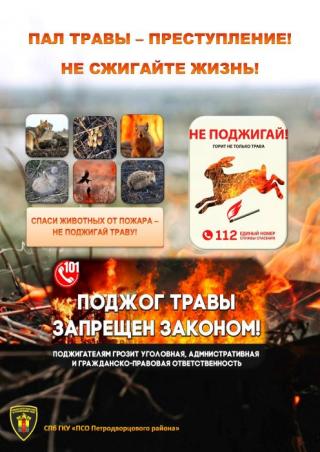 Поджог травы запрещен законом