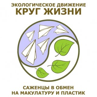В Петербурге макулатура и пластик вновь превратятся в деревья и цветы
