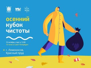 Осенний Кубок Чистоты