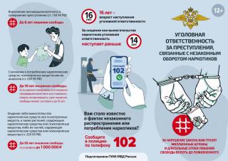 Уголовная ответственность за преступления, связанные с незаконным оборотом наркотиков