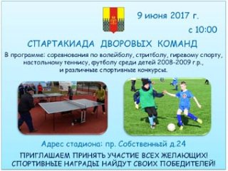 Спартакиада дворовых команд