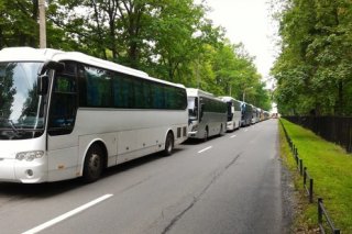 В Петергофе установили  знаки, запрещающие остановку автобусов