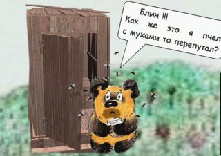 В Петергофе медовый и яблочный Спас отметят народным гулянием