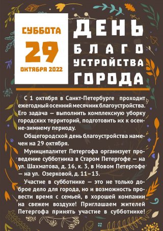 29 октября – День благоустройства города