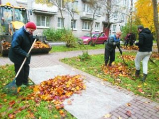 Опрос жителей города по оценке качества проведения осенней уборки