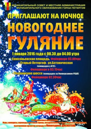 Новогодние праздничные гуляния