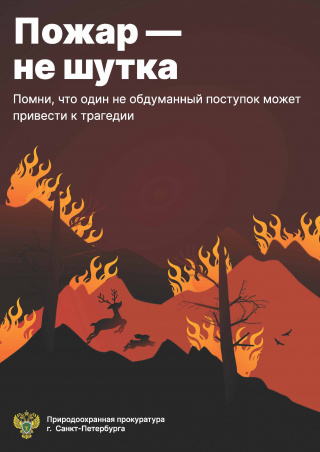 Берегите лес от пожара!