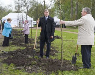 В  Петергофе появилась Аллея славы и мужества