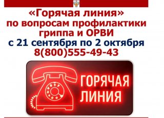 Тематическое консультирование по вопросам профилактики гриппа и ОРВИ