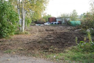 И пять кустов сирени в придачу 