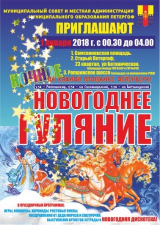 Праздничные гуляния в новогоднюю ночь
